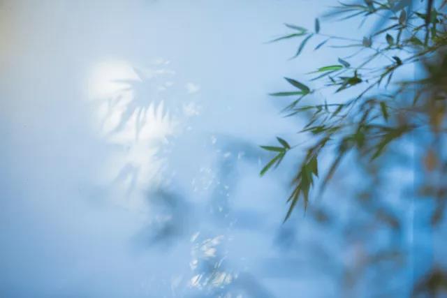 微信图片_20180430191823.jpg 微信图片_20180430191823.jpg