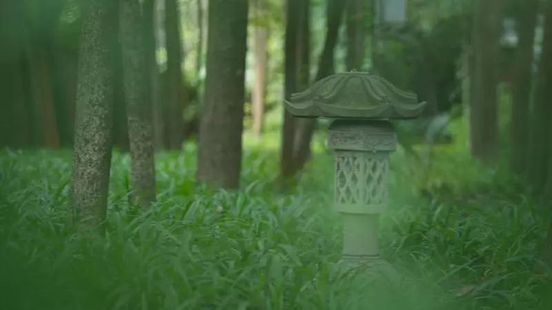 自净其心,是诸佛教2.jpg 自净其心,是诸佛教2.jpg