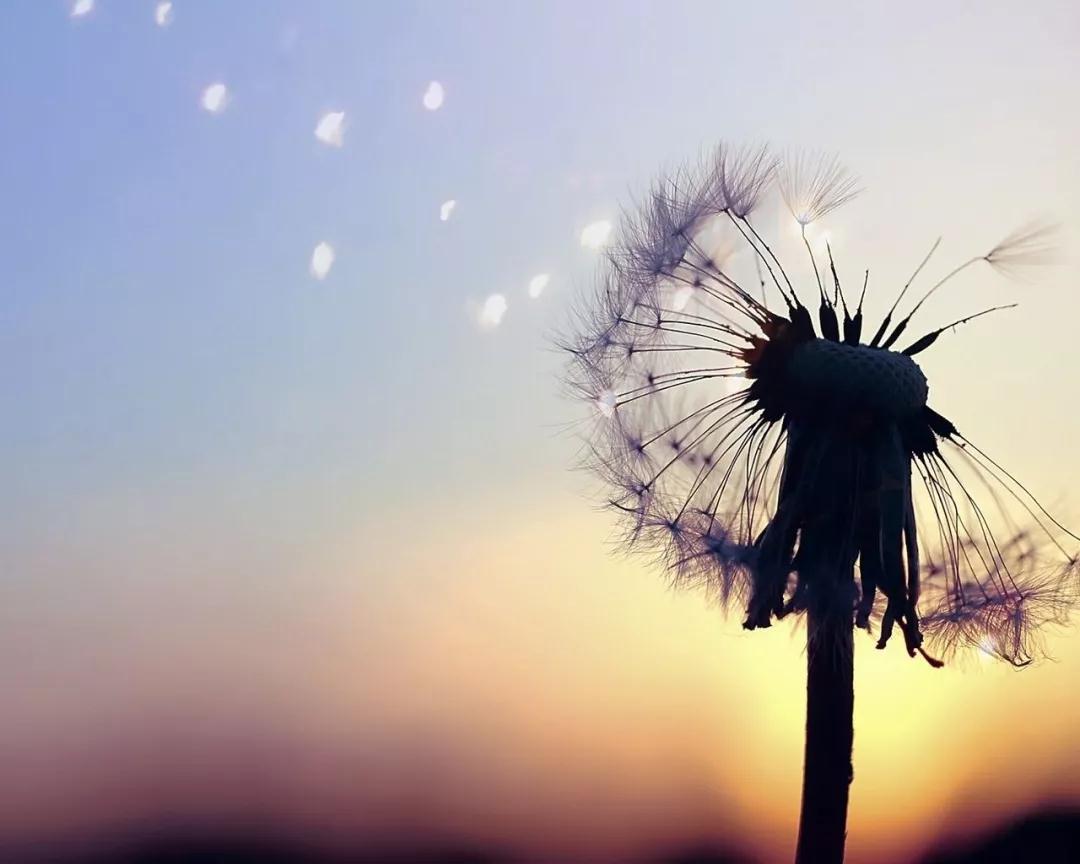 微信图片_20181018224332.jpg 微信图片_20181018224332.jpg