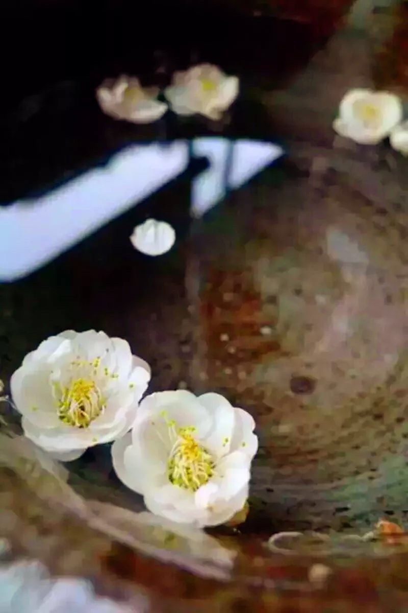 微信图片_20181227224116.jpg 微信图片_20181227224116.jpg