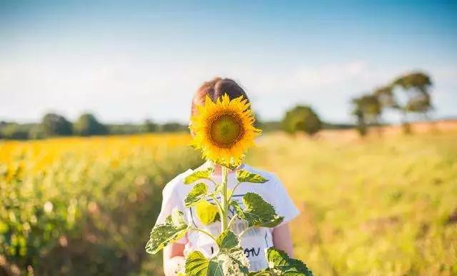 191911.jpg 191911.jpg