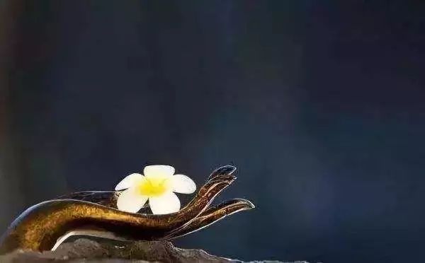 191940.jpg 191940.jpg