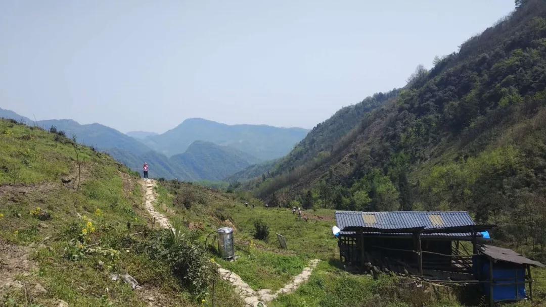 微信图片_20190413201412.jpg 微信图片_20190413201412.jpg