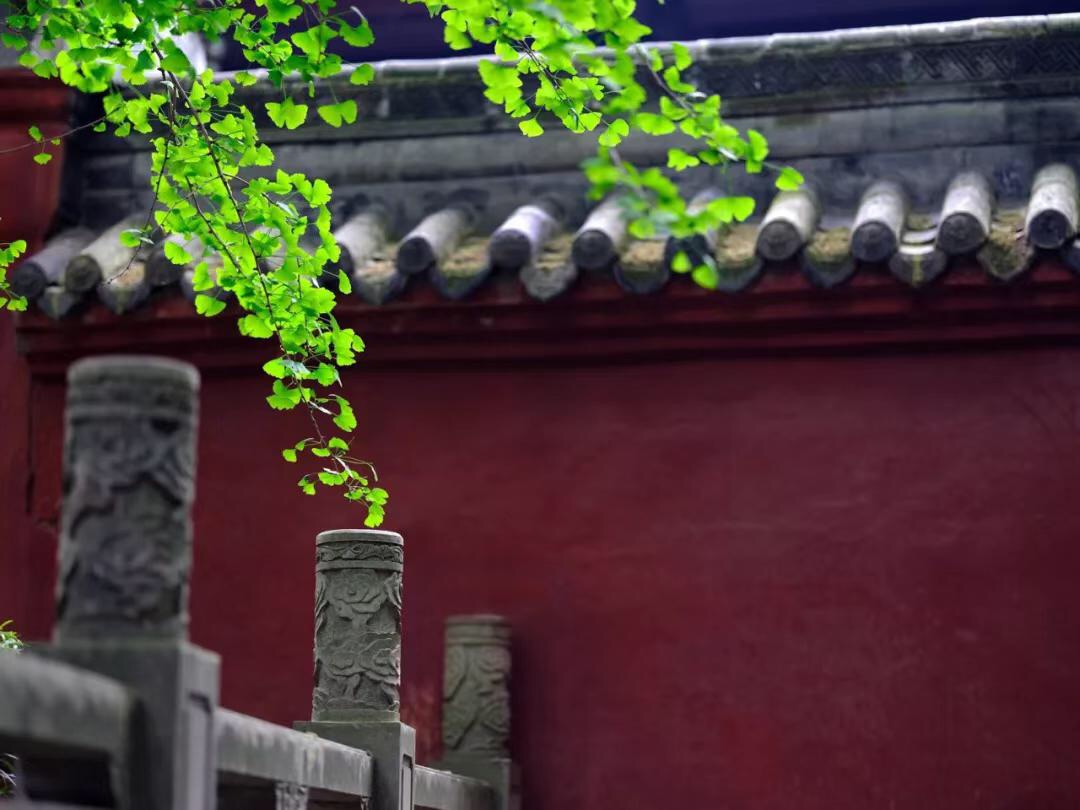 微信图片_20190423212251.jpg 微信图片_20190423212251.jpg