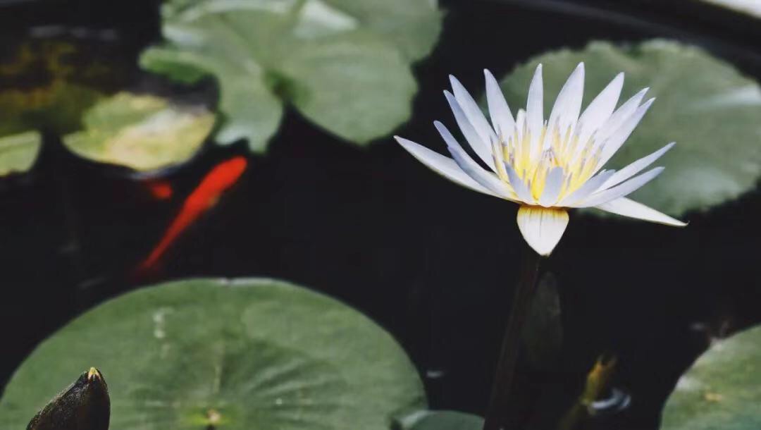 微信图片_20190712212455.jpg 微信图片_20190712212455.jpg