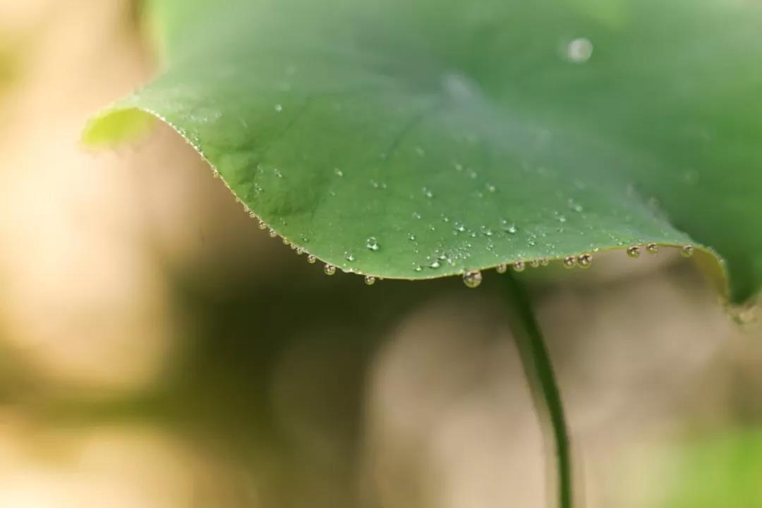 微信图片_20190730141108.jpg 微信图片_20190730141108.jpg