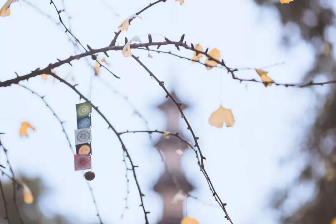 微信图片_20191127222907.jpg 微信图片_20191127222907.jpg