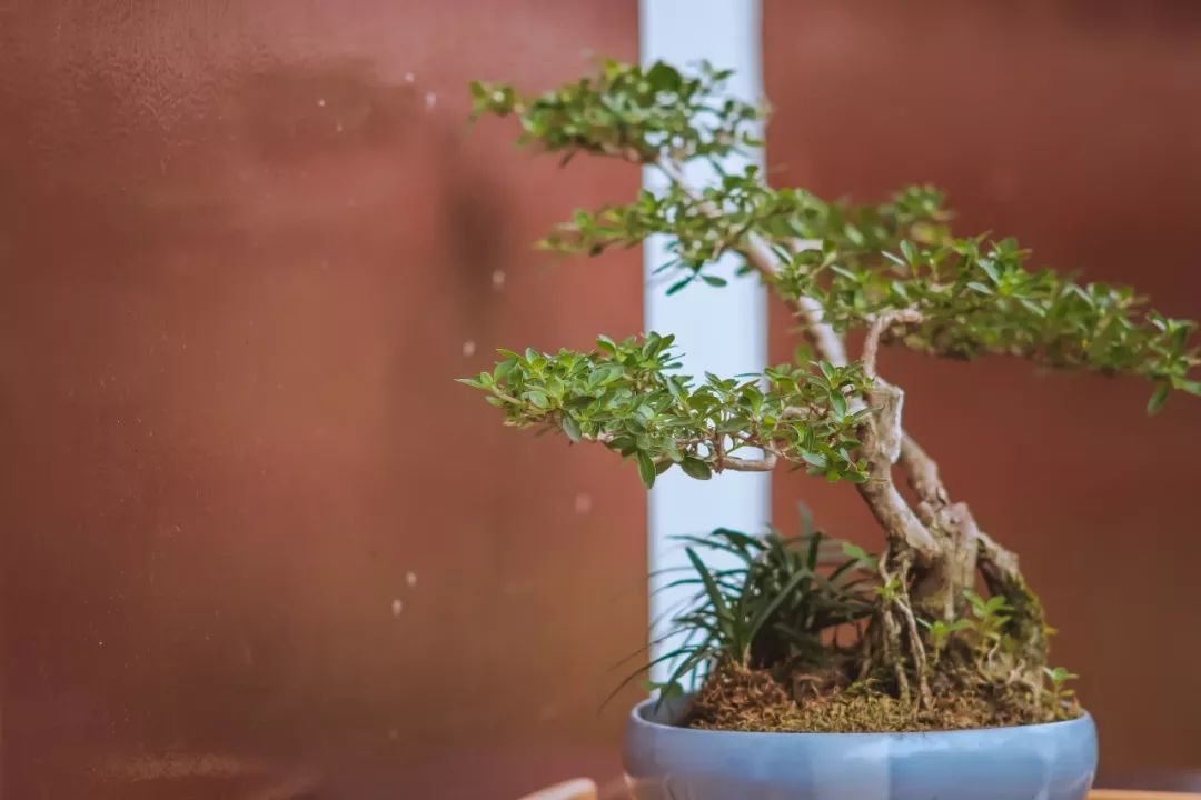 微信图片_20200120220155.jpg 微信图片_20200120220155.jpg