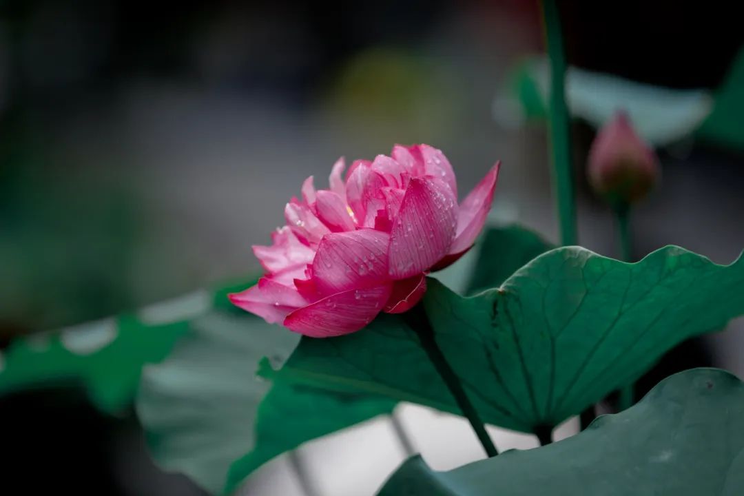 微信图片_20200527215942.jpg 微信图片_20200527215942.jpg