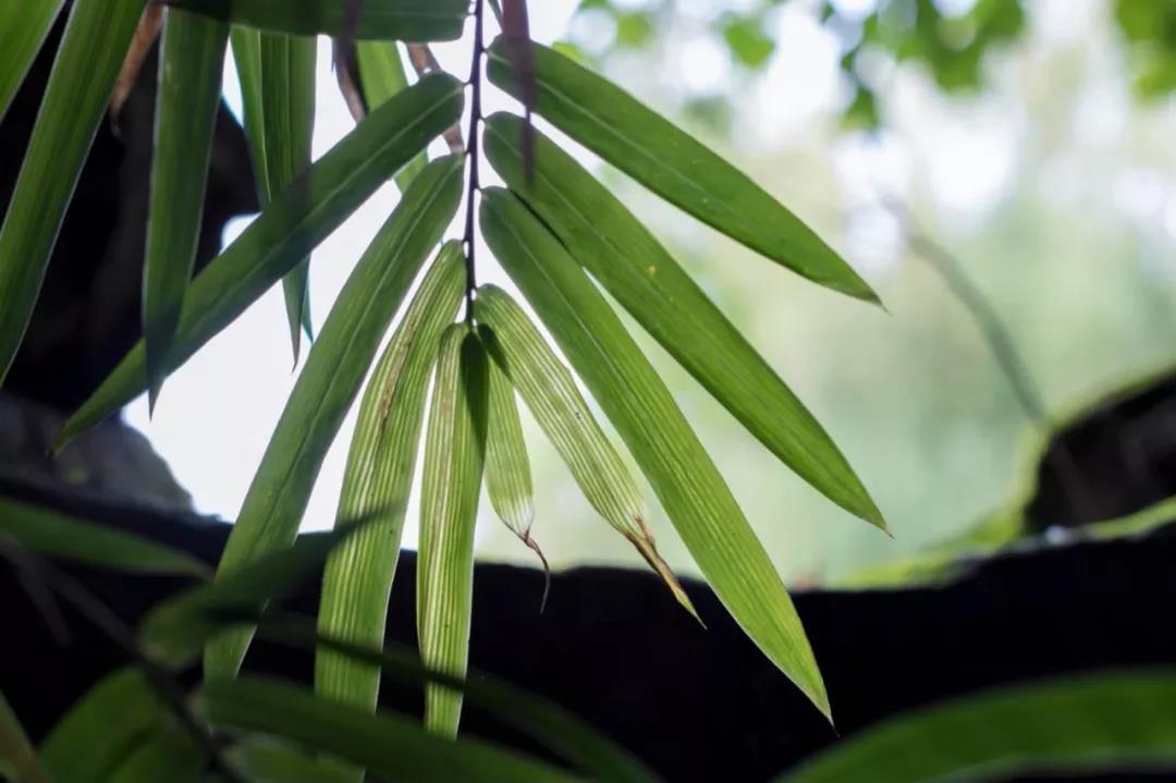 微信图片_20200928000122.jpg 微信图片_20200928000122.jpg