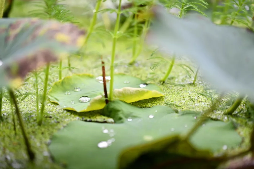 640.webp (55).jpg 640.webp (55).jpg