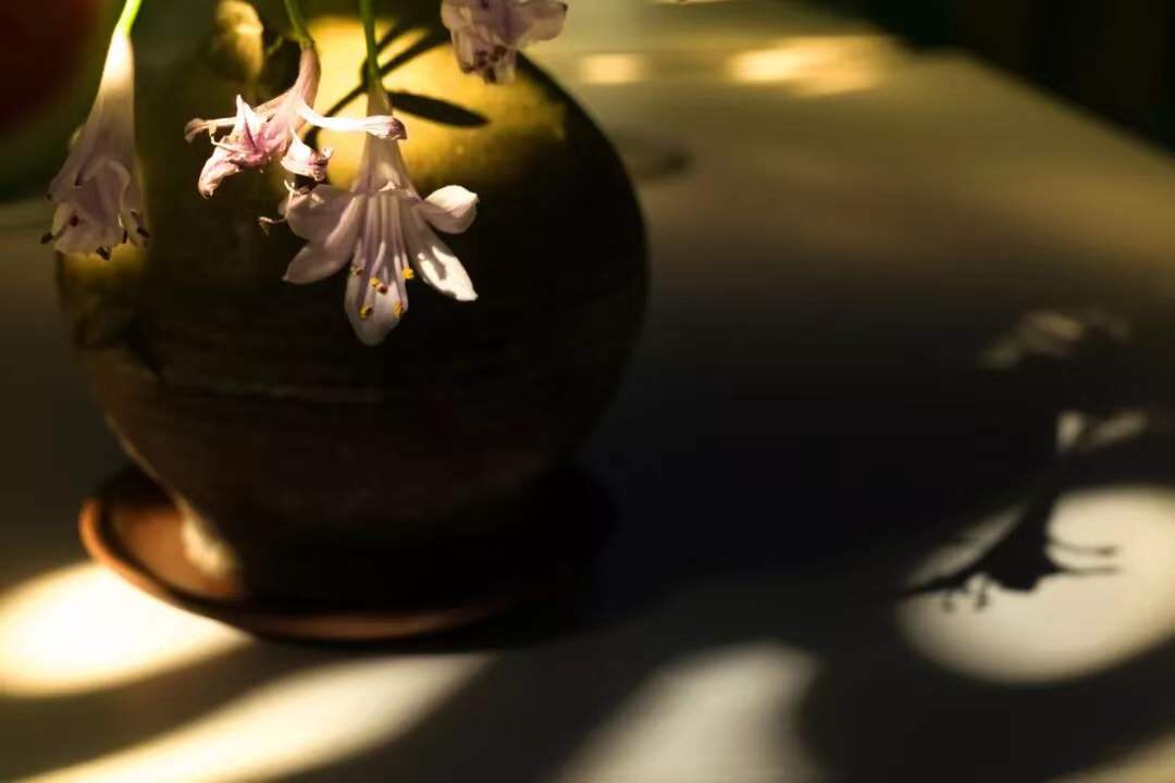 微信图片_20191224211739.jpg 微信图片_20191224211739.jpg