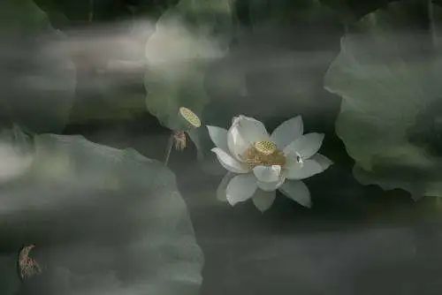 微信图片_20220224161415.jpg 微信图片_20220224161415.jpg